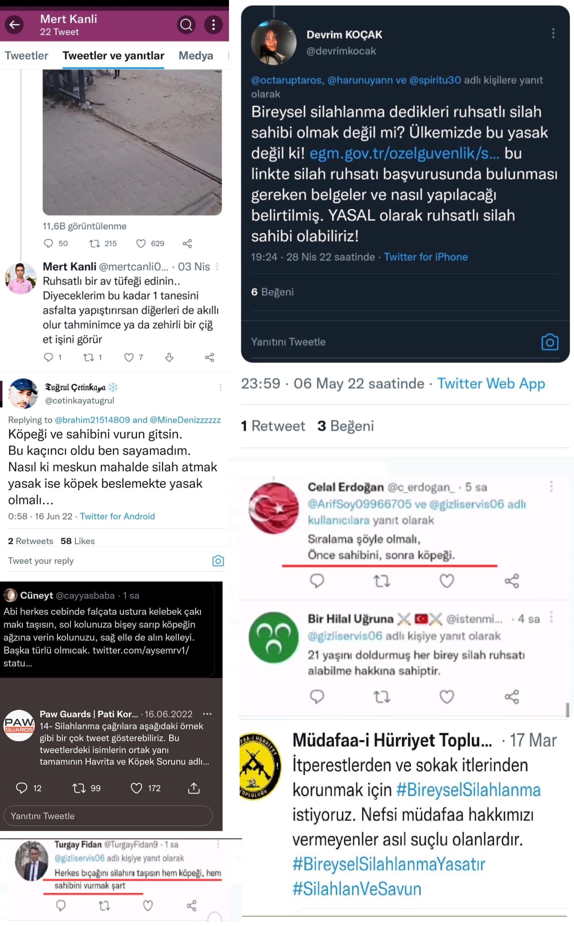 sokak hayvanı nefreti