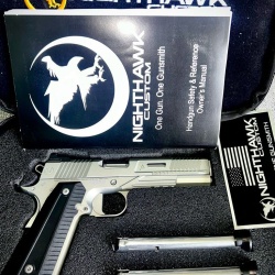 Nighthawk Custom Agent-2