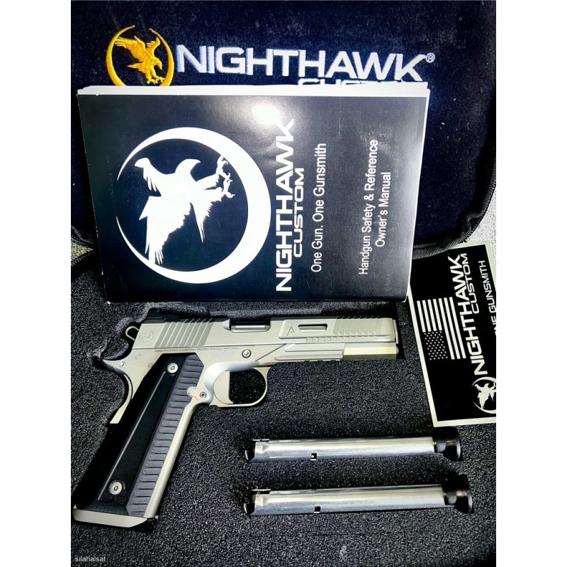 Nighthawk Custom Agent-2