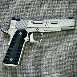 Nighthawk Custom Agent-2