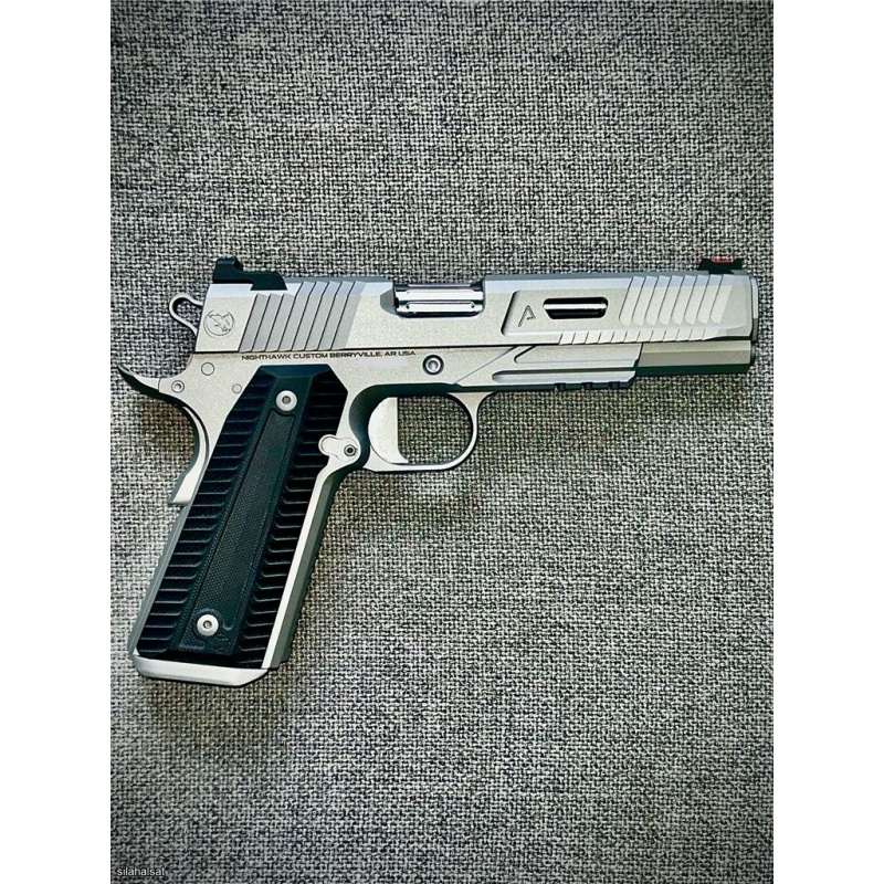 Nighthawk Custom Agent-2