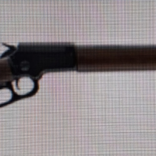 Winchester .22 Magnum