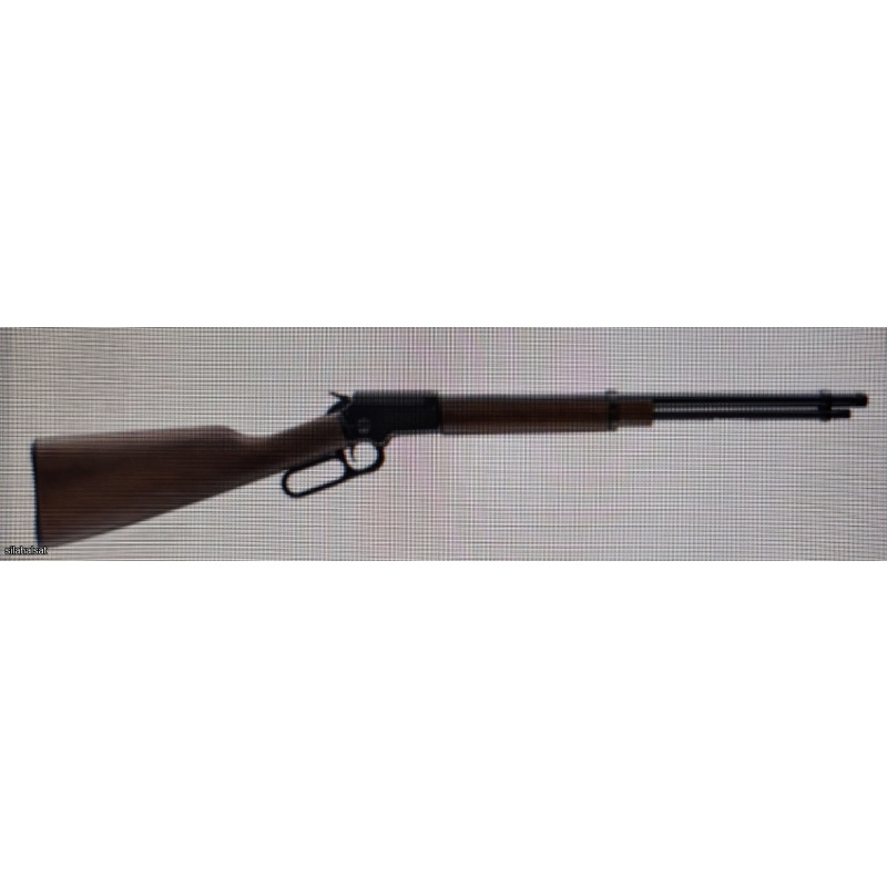 Winchester .22 Magnum