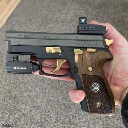 alman sig p 229
