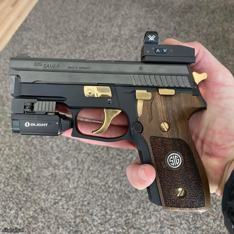 alman sig p 229