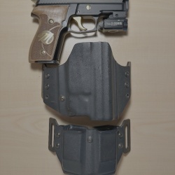 alman sig p 229