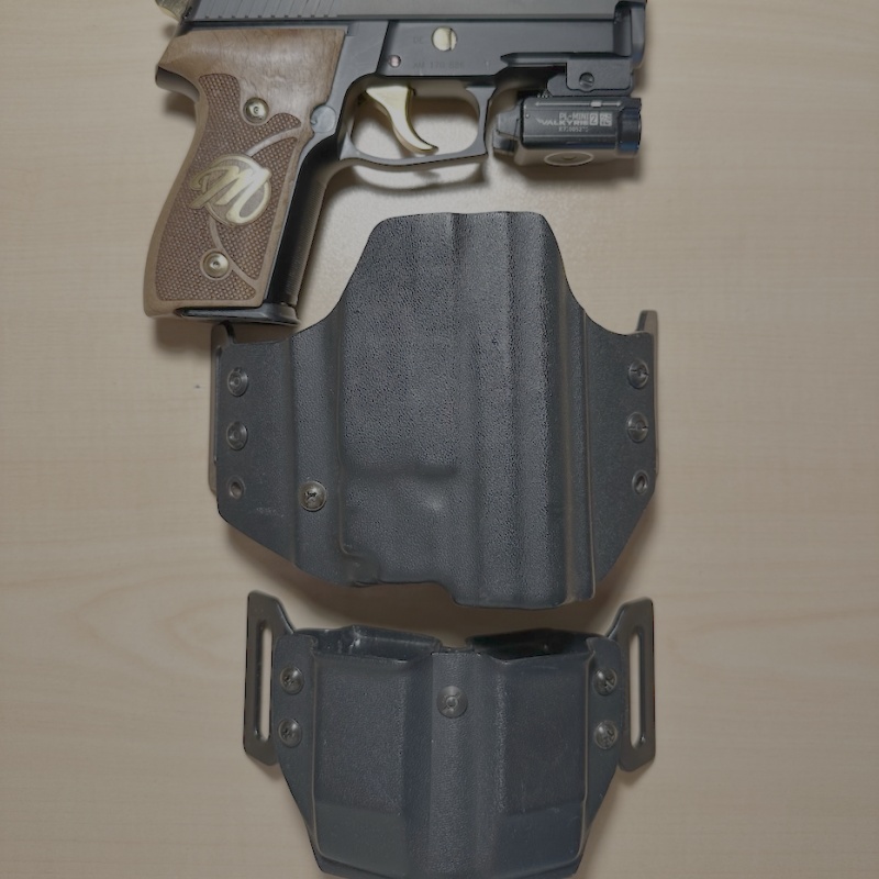 alman sig p 229