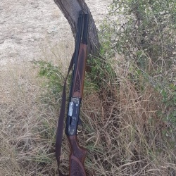 SATILIK OTOMATİK ÜZÜMLÜ